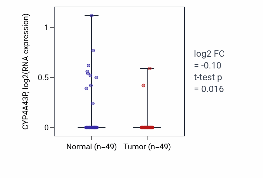 Tumor-vs-normal expression box plot for CYP4A43P RNA in LUSC.