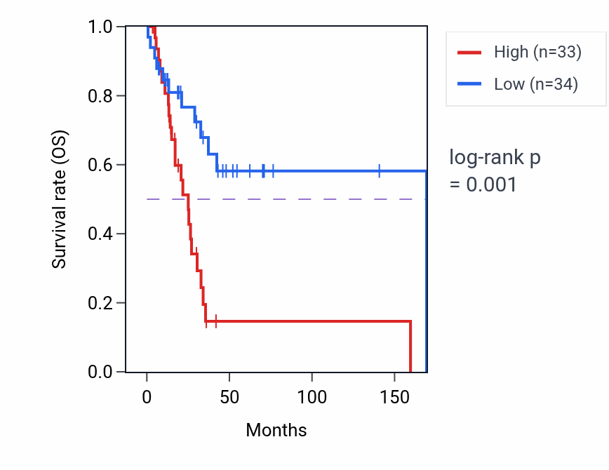 Kaplan&ndash;Meier survival curve for CYP4F11 RNA expression in HNSC: high vs low expression groups.