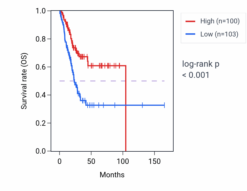Kaplan&ndash;Meier survival curve for CYP4F35P RNA expression in BLCA: high vs low expression groups.