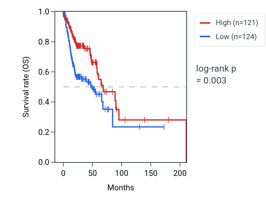 Kaplan&ndash;Meier survival curve for CYP4Z1 RNA expression in HNSC: high vs low expression groups.