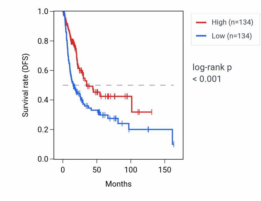Kaplan&ndash;Meier survival curve for CYP4Z2P RNA expression in BLCA: high vs low expression groups.