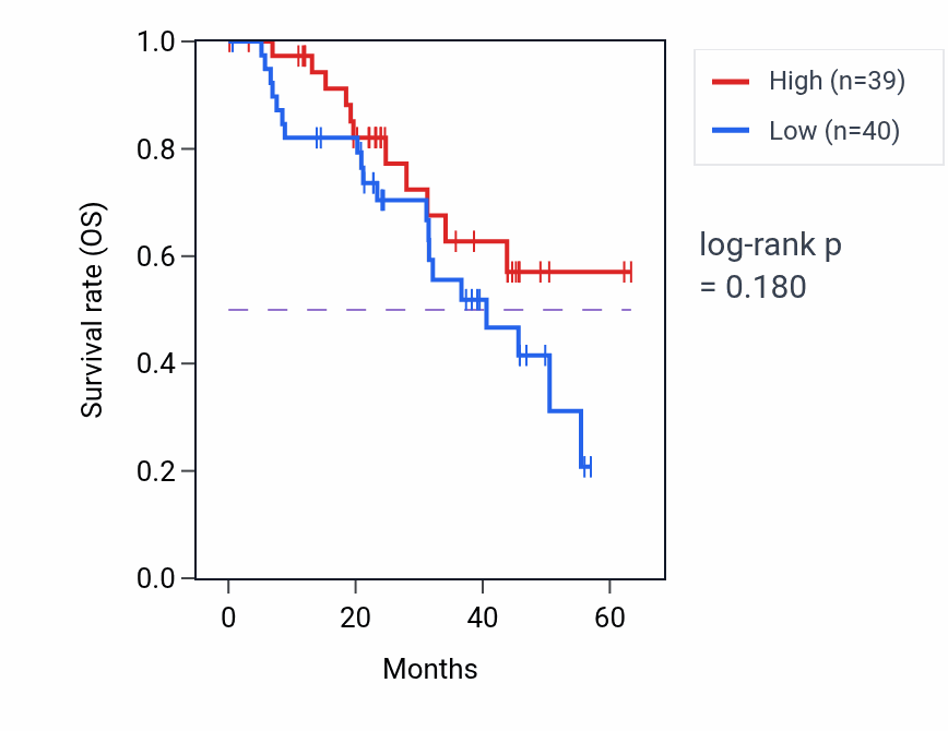 Kaplan&ndash;Meier survival curve for CYTH2 mass-spec protein-high vs -low samples in HNSC.