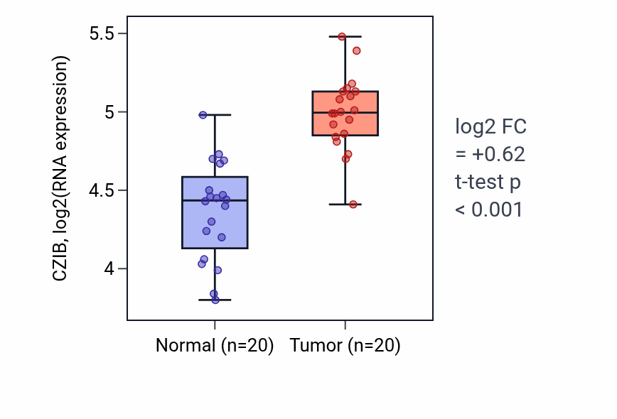 Tumor-vs-normal expression box plot for CZIB in KIRC.