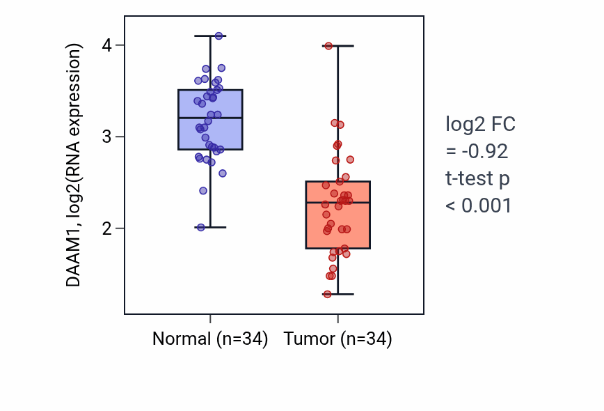 Tumor-vs-normal expression box plot for DAAM1 in KIRC.