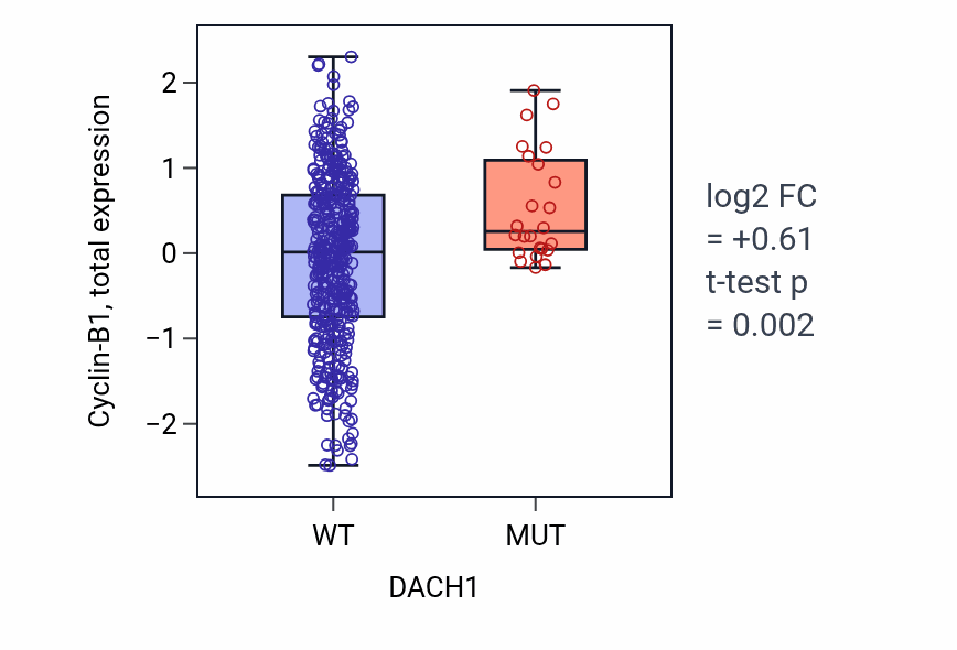 Box plot of Cyclin-B1 in DACH1-low vs DACH1-high samples in UCEC.