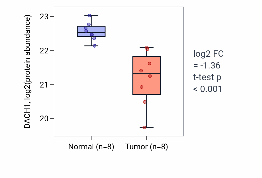 Tumor-vs-normal mass-spec protein box plot for DACH1 in CCRCC.