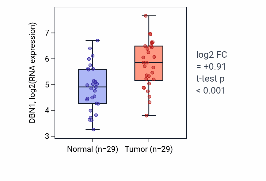 Tumor-vs-normal expression box plot for DBN1 in HNSC.