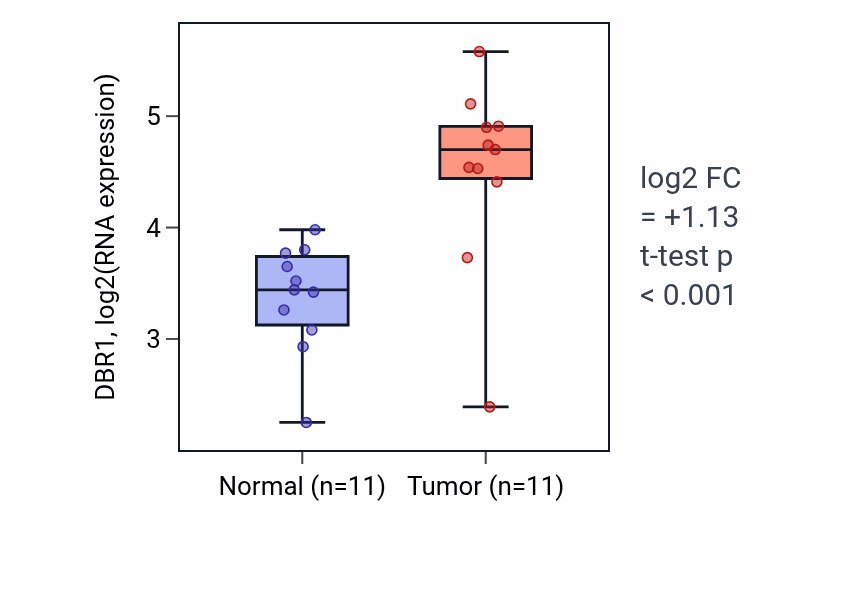 Tumor-vs-normal expression box plot for DBR1 in HNSC.