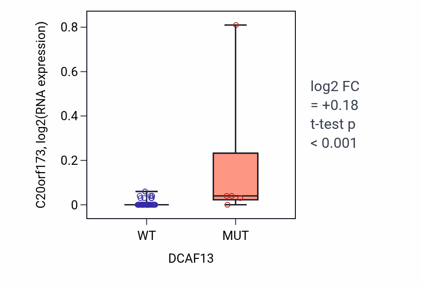 Box plot of C20orf173 in DCAF13-low vs DCAF13-high samples in BREAST.