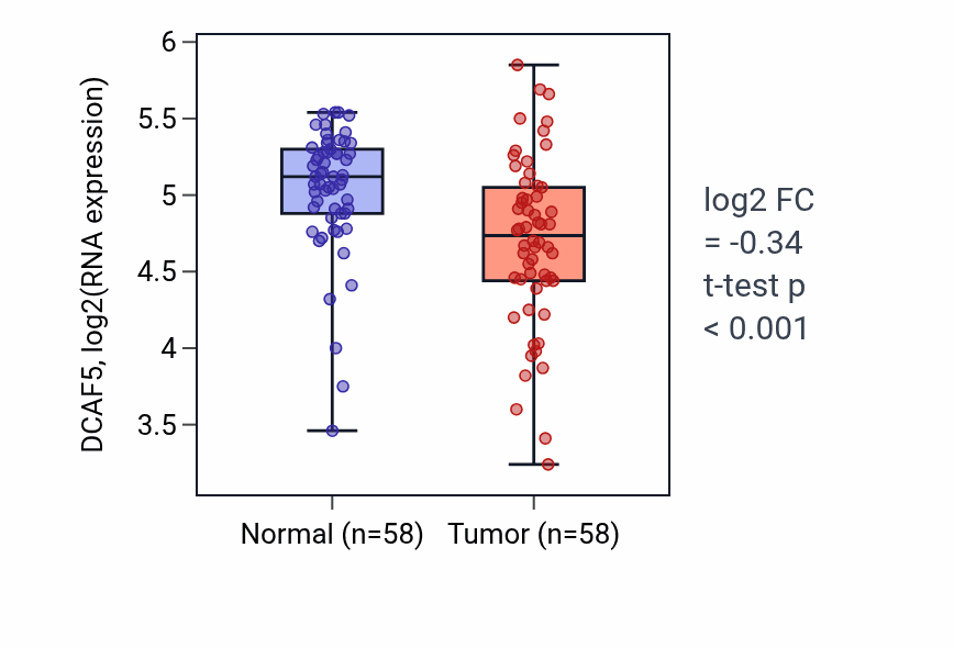 Tumor-vs-normal expression box plot for DCAF5 in THCA.