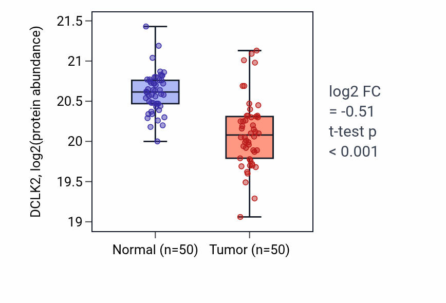 Tumor-vs-normal mass-spec protein box plot for DCLK2 in LSCC.
