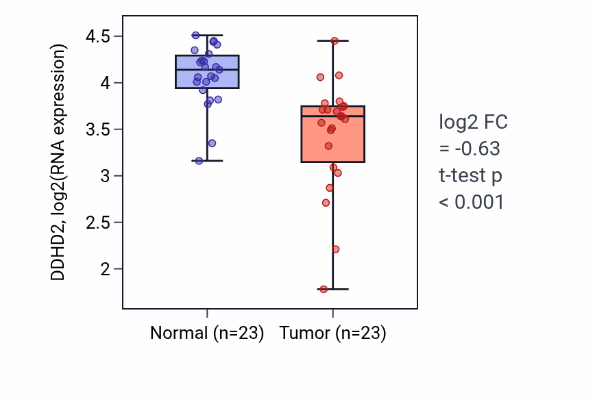 Tumor-vs-normal expression box plot for DDHD2 in THCA.