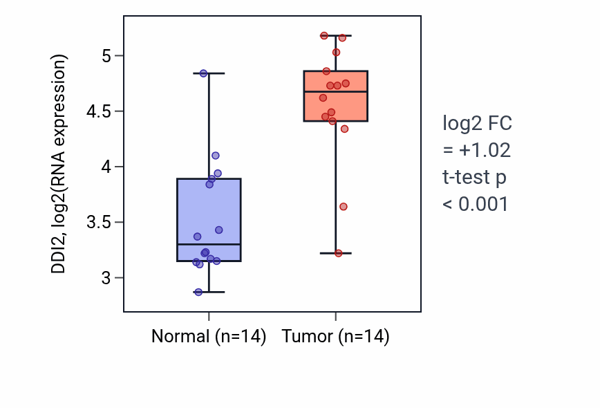 Tumor-vs-normal expression box plot for DDI2 in BLCA.