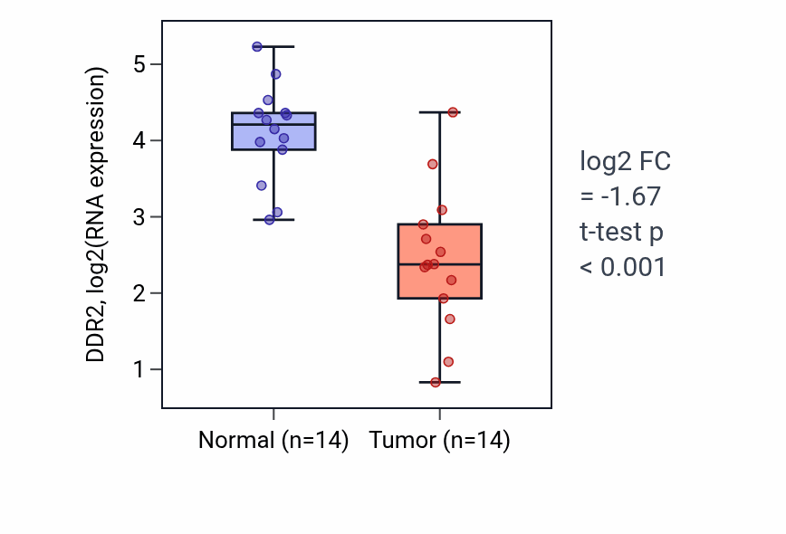 Tumor-vs-normal expression box plot for DDR2 in THCA.