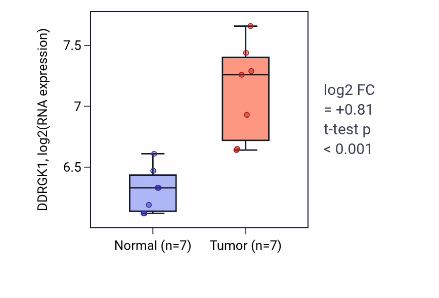 Tumor-vs-normal expression box plot for DDRGK1 in COAD.