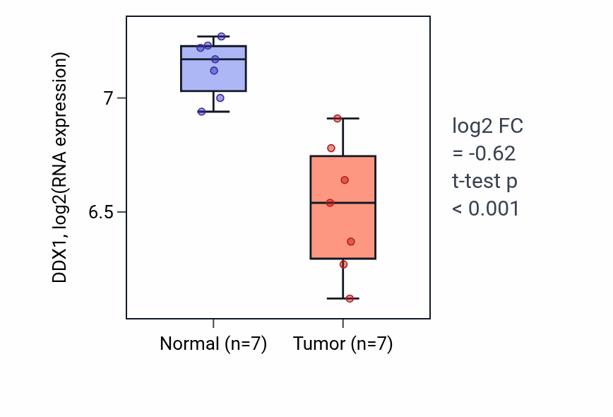 Tumor-vs-normal expression box plot for DDX1 in THCA.