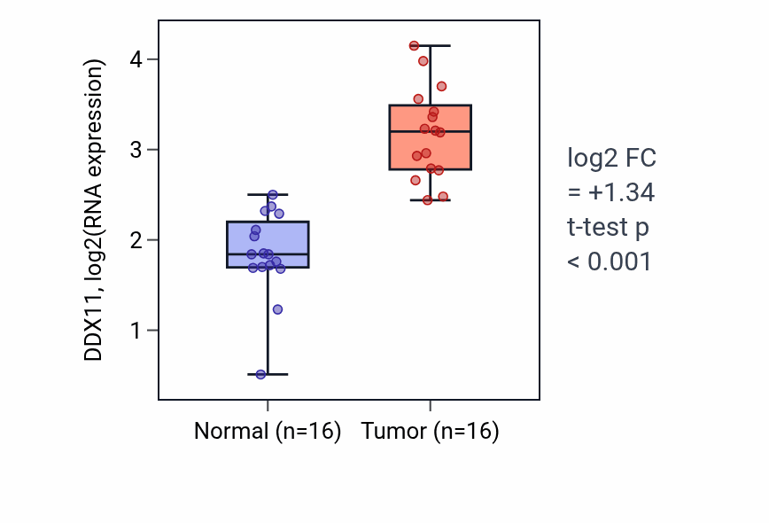 Tumor-vs-normal expression box plot for DDX11 in HNSC.