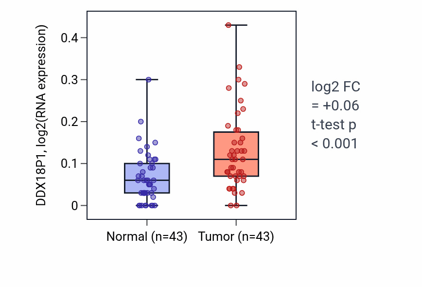Tumor-vs-normal expression box plot for DDX18P1 in HNSC.