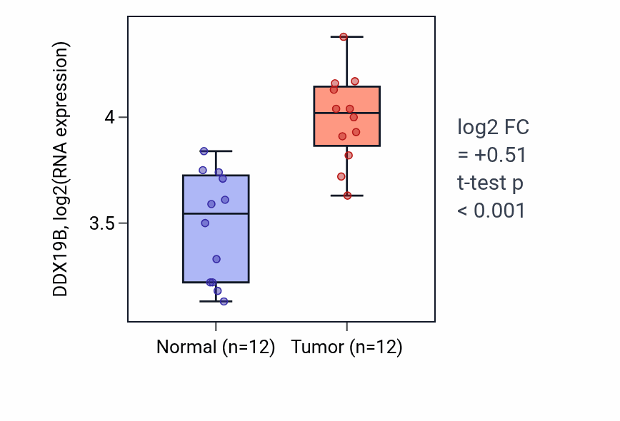 Tumor-vs-normal expression box plot for DDX19B in KIRC.