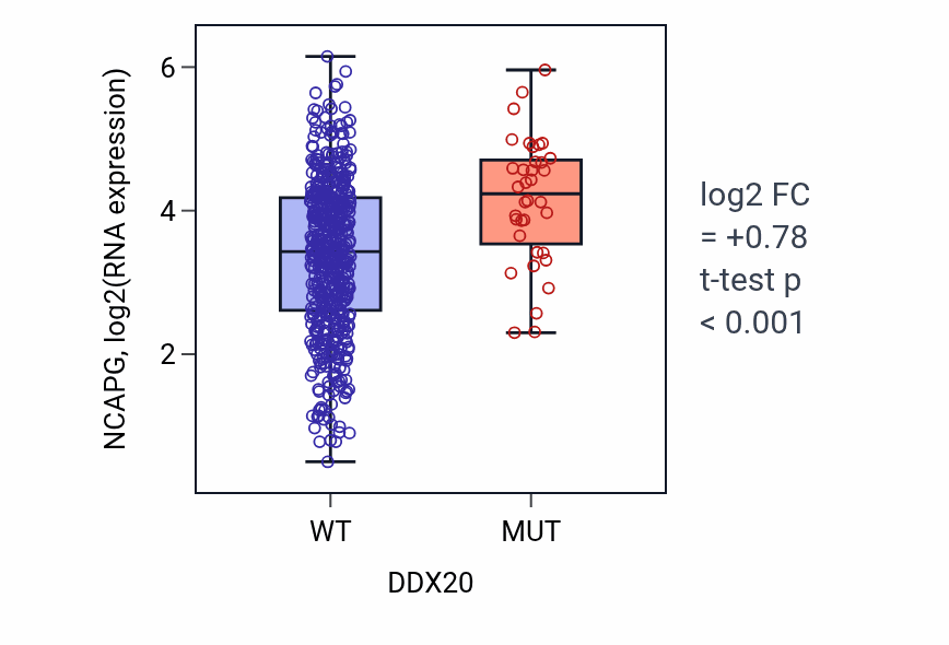Box plot of NCAPG in DDX20-low vs DDX20-high samples in UCEC.