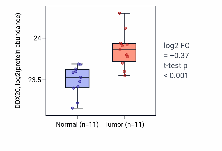 Tumor-vs-normal mass-spec protein box plot for DDX20 in CCRCC.