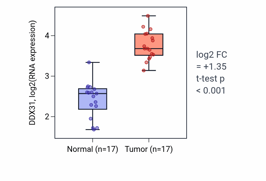 Tumor-vs-normal expression box plot for DDX31 RNA in COAD.