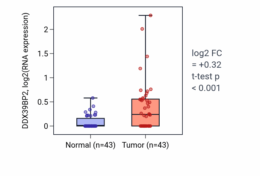 Tumor-vs-normal expression box plot for DDX39BP2 in HNSC.