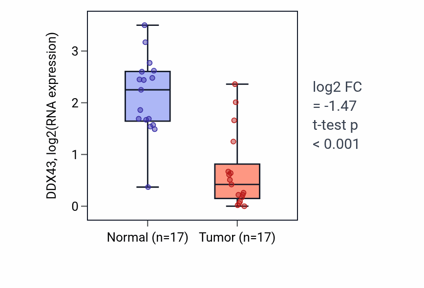 Tumor-vs-normal expression box plot for DDX43 in THCA.
