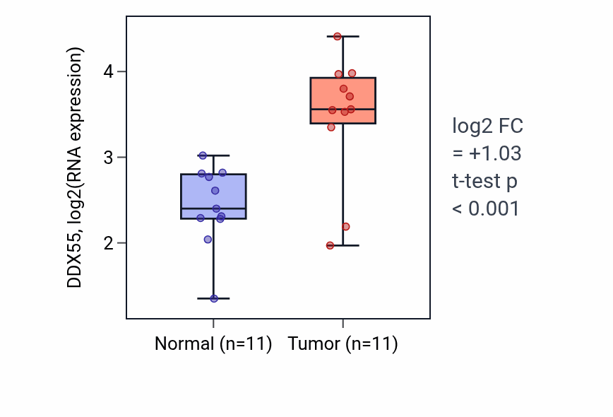 Tumor-vs-normal expression box plot for DDX55 in HNSC.