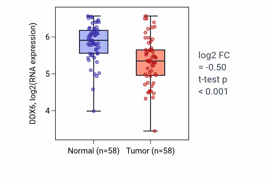 Tumor-vs-normal expression box plot for DDX6 in THCA.