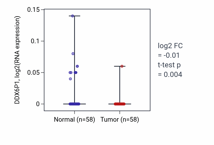 Tumor-vs-normal expression box plot for DDX6P1 in THCA.