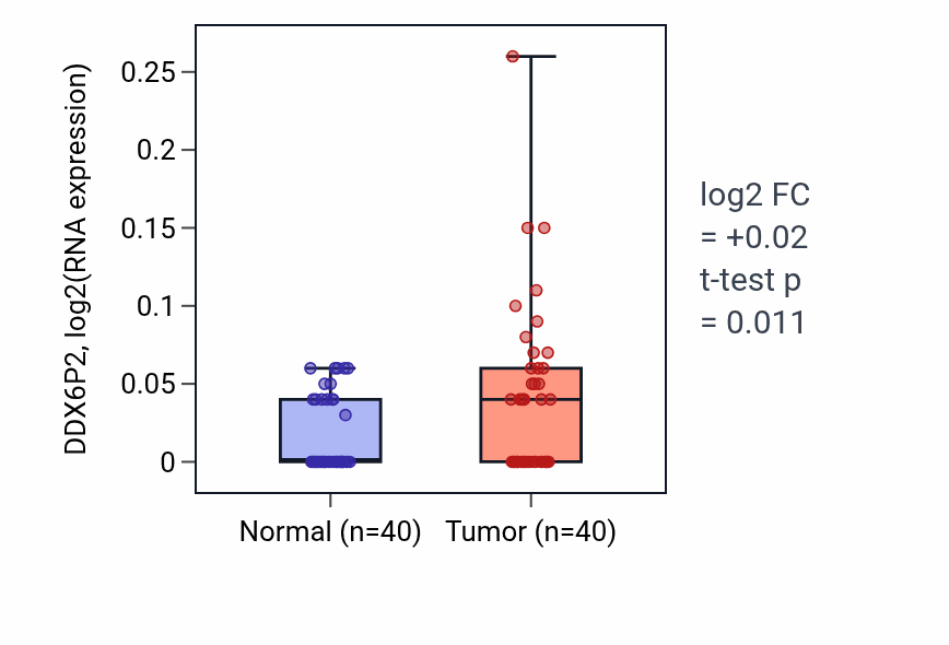 Tumor-vs-normal expression box plot for DDX6P2 in HNSC.