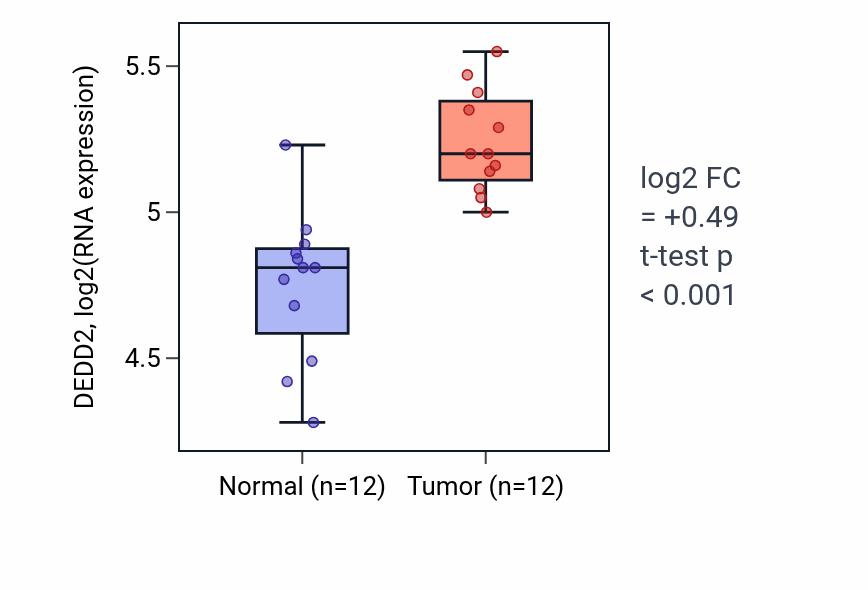 Tumor-vs-normal expression box plot for DEDD2 in KIRC.