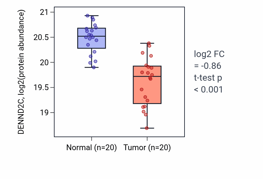 Tumor-vs-normal mass-spec protein box plot for DENND2C in HNSC.