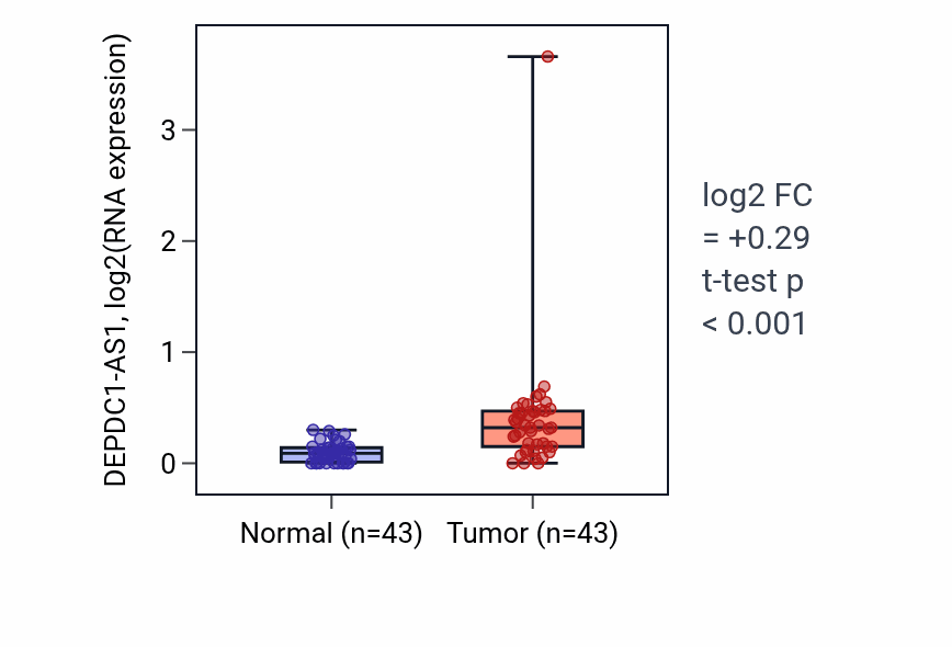 Tumor-vs-normal expression box plot for DEPDC1-AS1 RNA in HNSC.