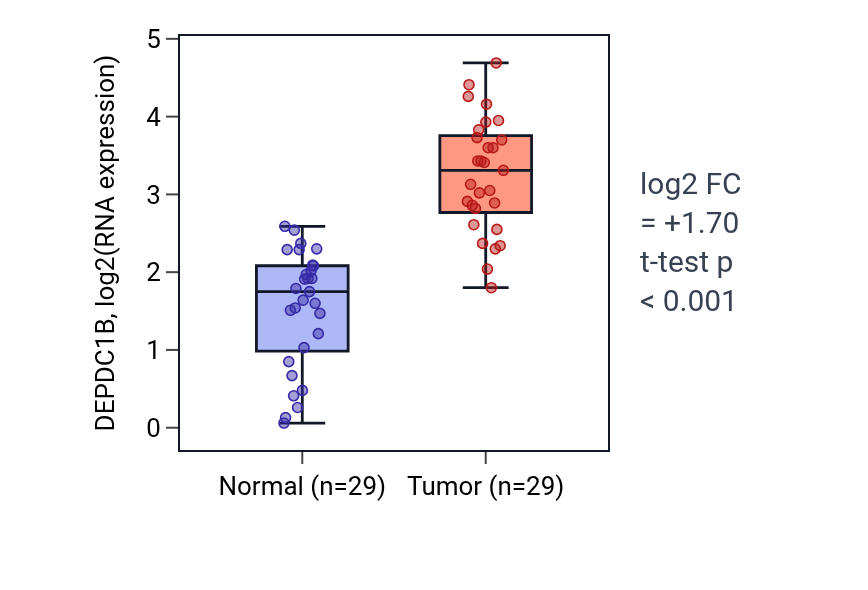 Tumor-vs-normal expression box plot for DEPDC1B in HNSC.