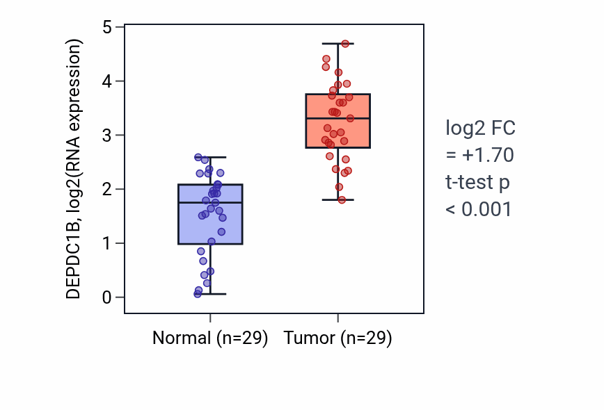 Tumor-vs-normal expression box plot for DEPDC1B RNA in HNSC.