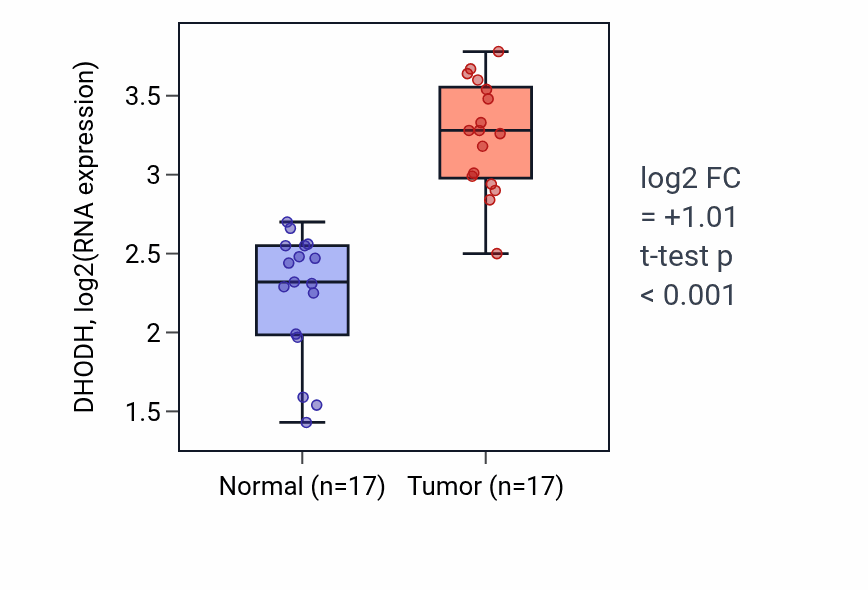 Tumor-vs-normal expression box plot for DHODH RNA in COAD.