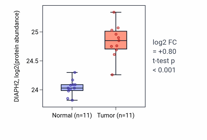 Tumor-vs-normal mass-spec protein box plot for DIAPH2 in CCRCC.