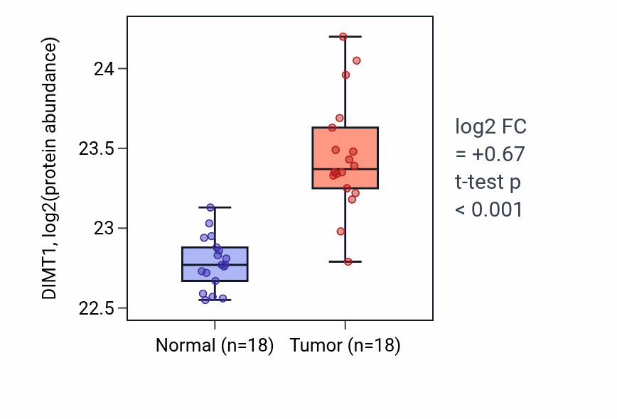 Tumor-vs-normal mass-spec protein box plot for DIMT1 in COAD.