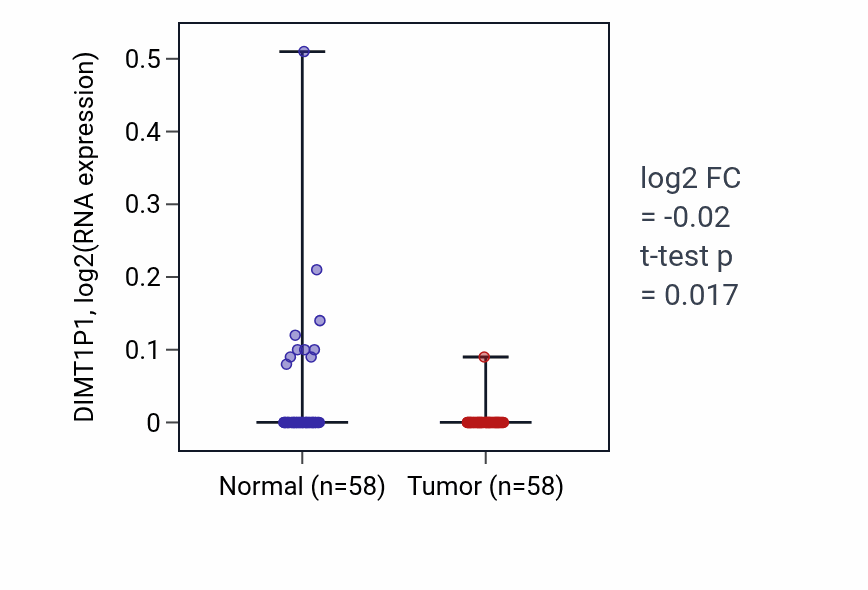 Tumor-vs-normal expression box plot for DIMT1P1 RNA in THCA.
