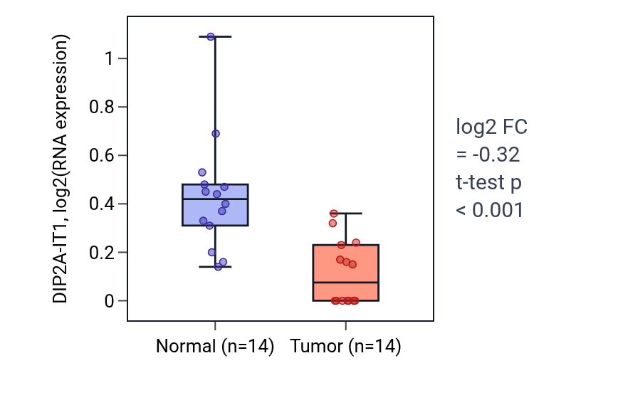 Tumor-vs-normal expression box plot for DIP2A-IT1 in THCA.