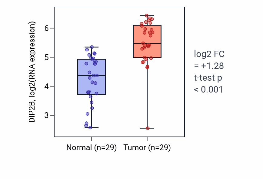 Tumor-vs-normal expression box plot for DIP2B in HNSC.
