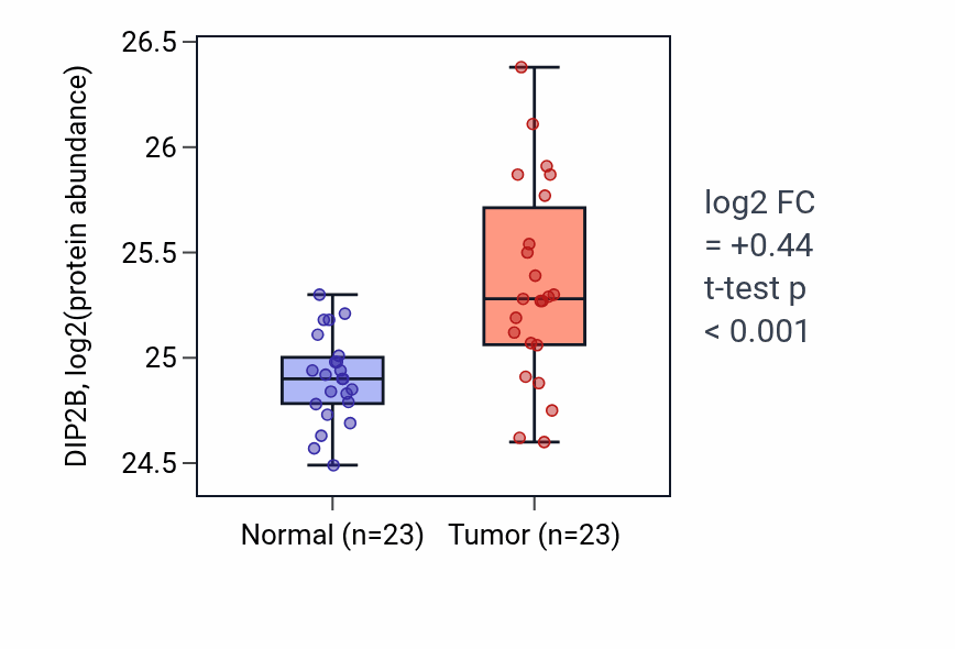 Tumor-vs-normal mass-spec protein box plot for DIP2B in HNSC.