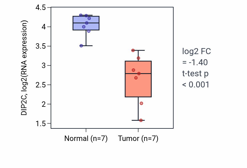 Tumor-vs-normal expression box plot for DIP2C in THCA.