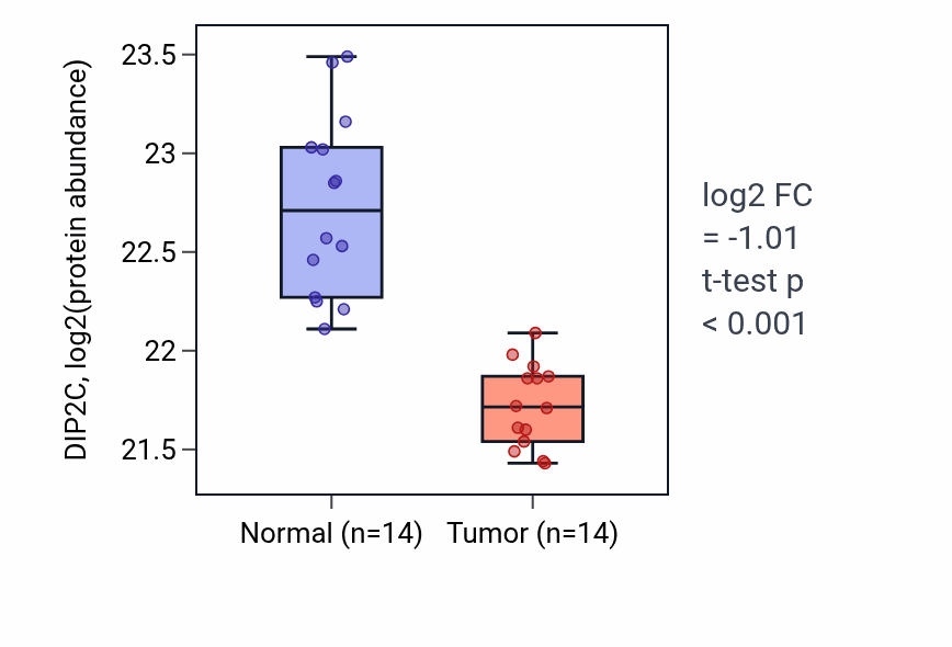 Tumor-vs-normal mass-spec protein box plot for DIP2C in COAD.