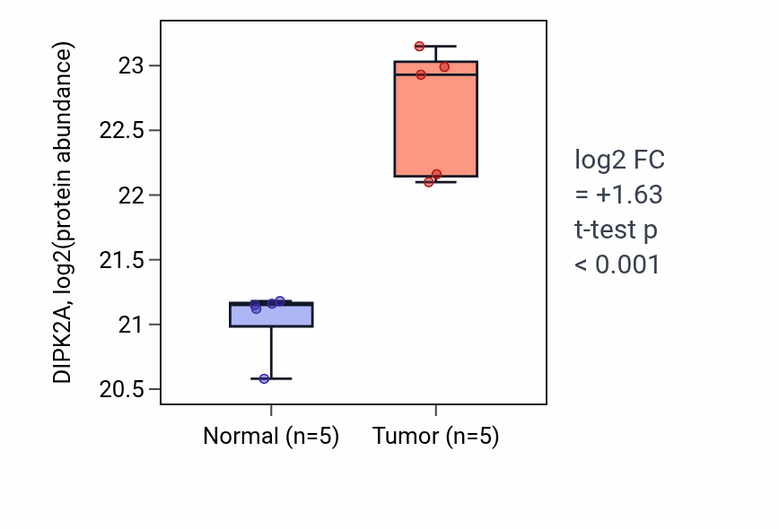 Tumor-vs-normal mass-spec protein box plot for DIPK2A in CCRCC.