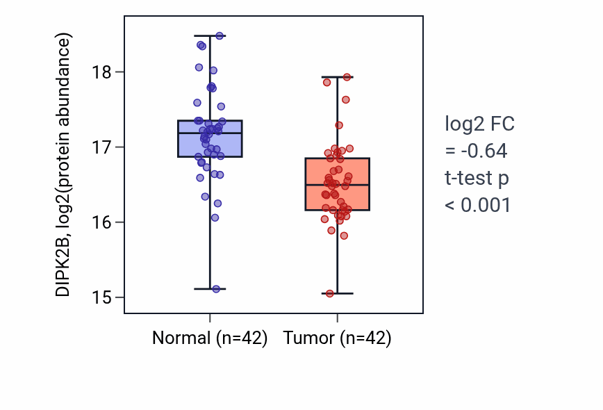 Tumor-vs-normal mass-spec protein box plot for DIPK2B in LSCC.