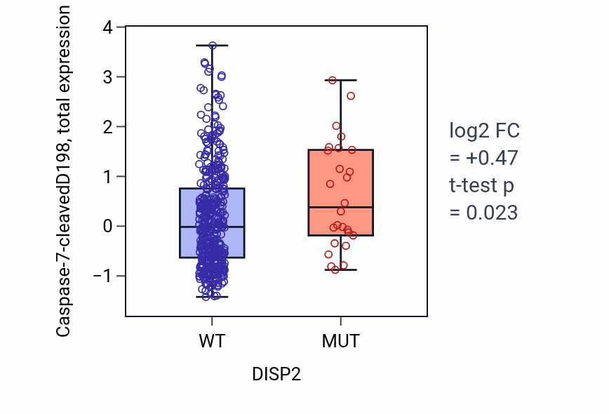 Box plot of Caspase-7-cleavedD198 in DISP2-low vs DISP2-high samples in UCEC.
