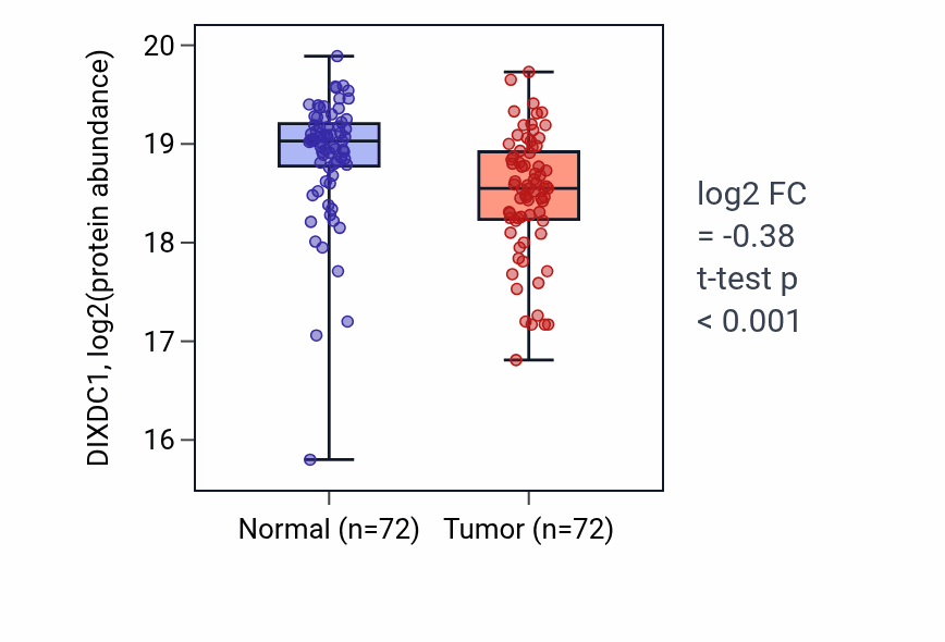 Tumor-vs-normal mass-spec protein box plot for DIXDC1 in LSCC.